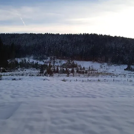 Retour Aux Sources *