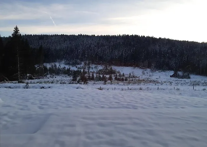 Retour Aux Sources *